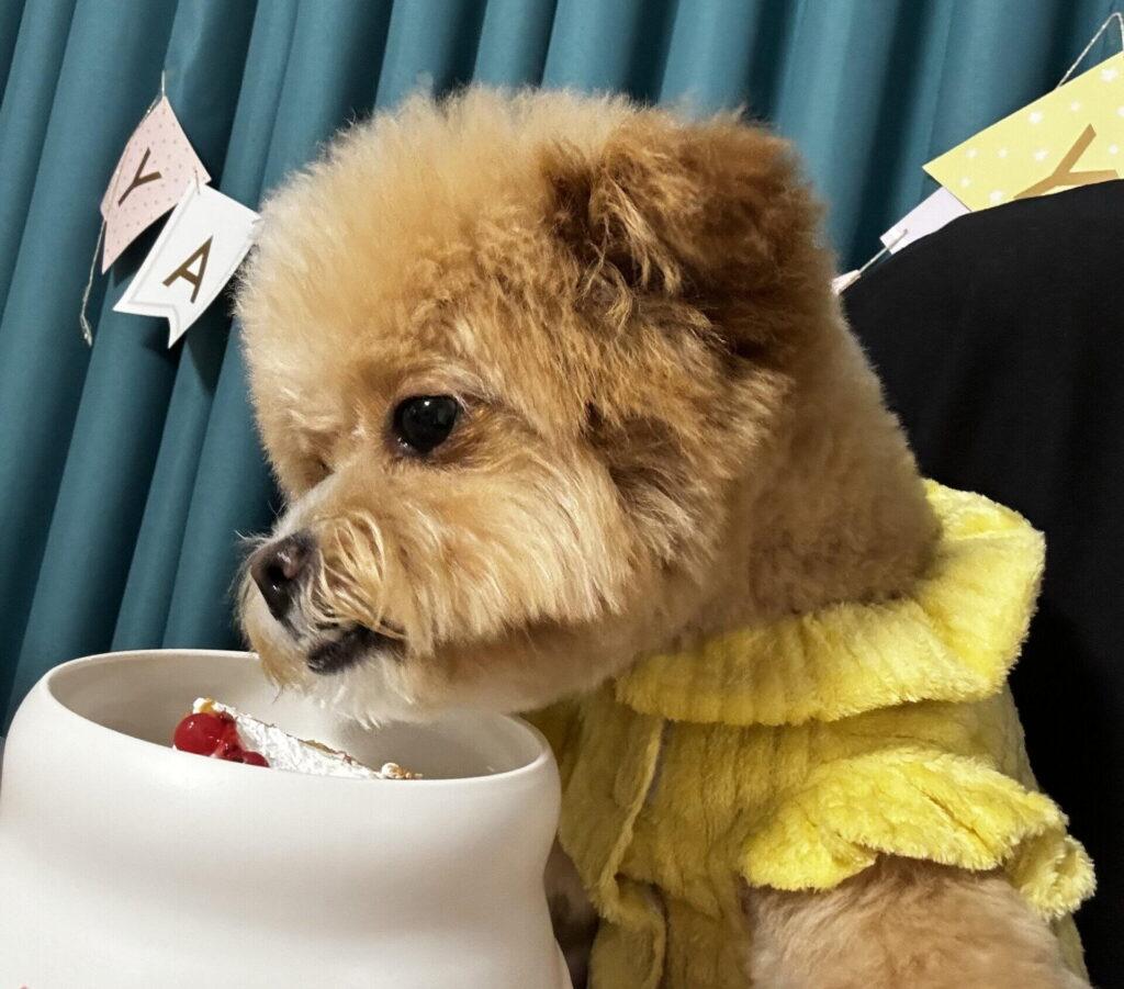 30分ルールは本当に守るべき?動物病院で言われた現実的な話