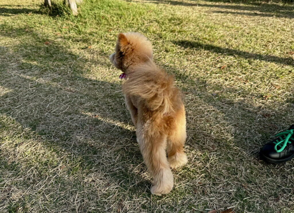 初期費用を抑えるためにやっておけばよかった5つのこと