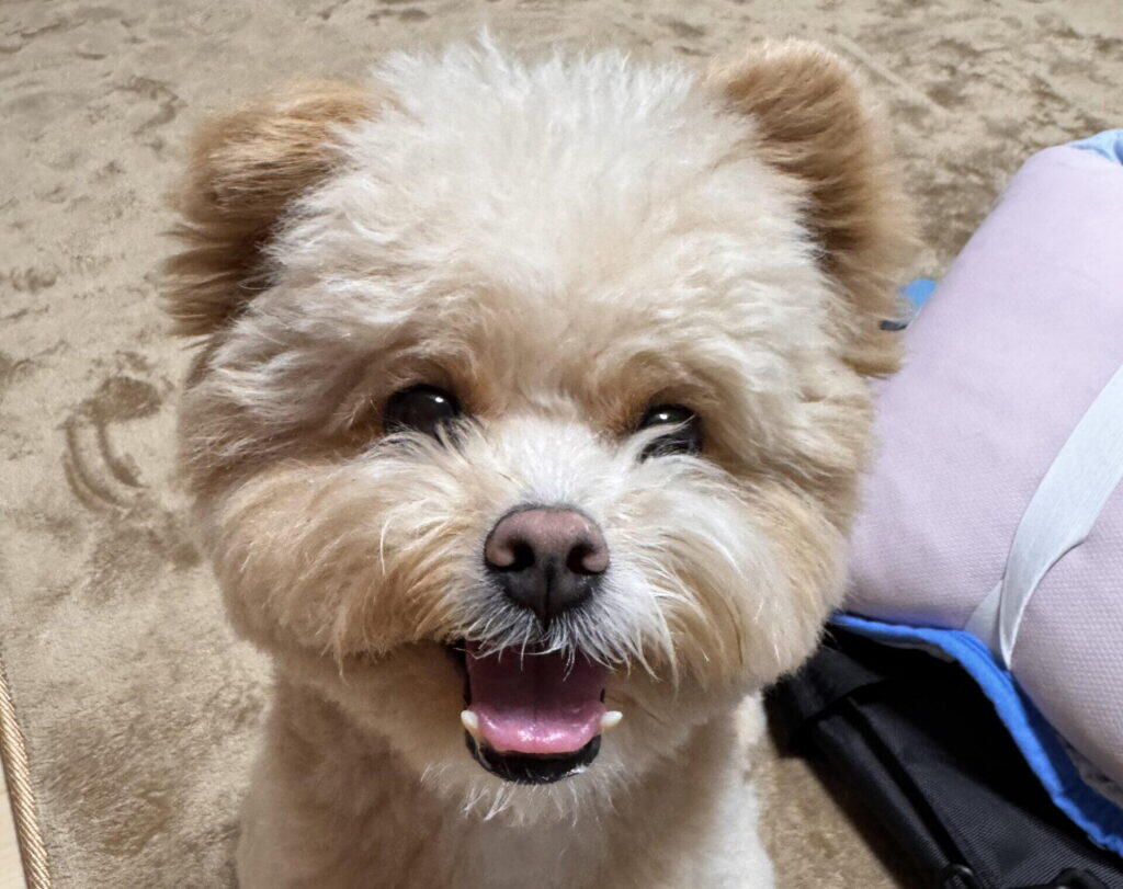 腸活サプリだけじゃない！食事とセットでお腹の調子を整える方法