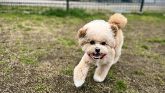 暮らし・お出かけ