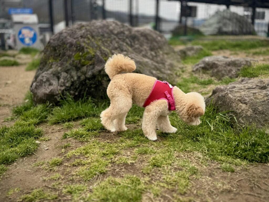 やりがちで逆効果なNG対応3つ