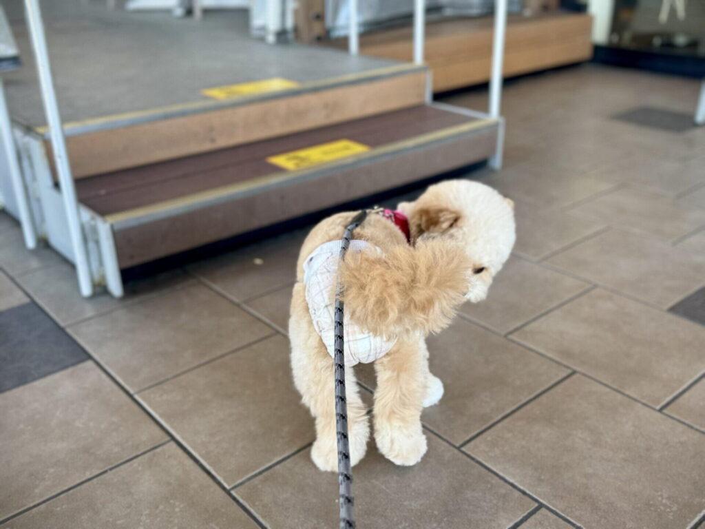 初期費用に含まれる「見落としがちな医療費」