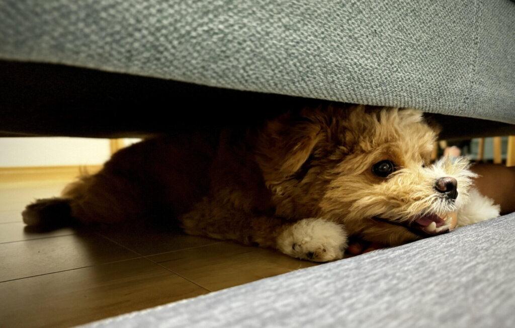 生後6ヶ月までは目安どおり、そこからが「想定外」