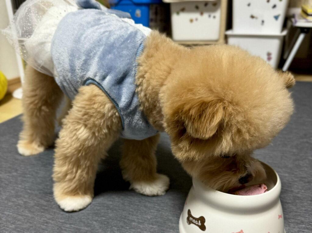 体重が安定したのは1歳半——ここまで待っていい