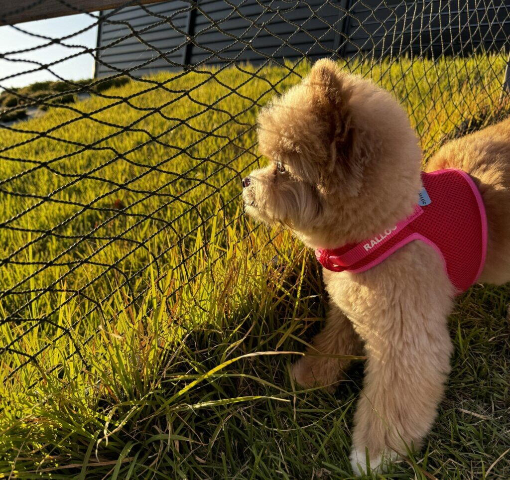 「うちの子、成長が早すぎ？遅すぎ？」の判断基準