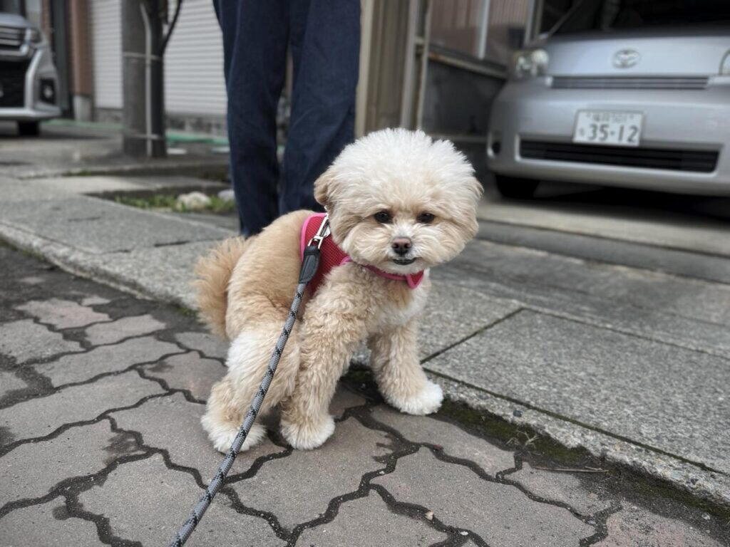 消臭できる袋は4タイプある。仕組みが違えば得意な場面も違う