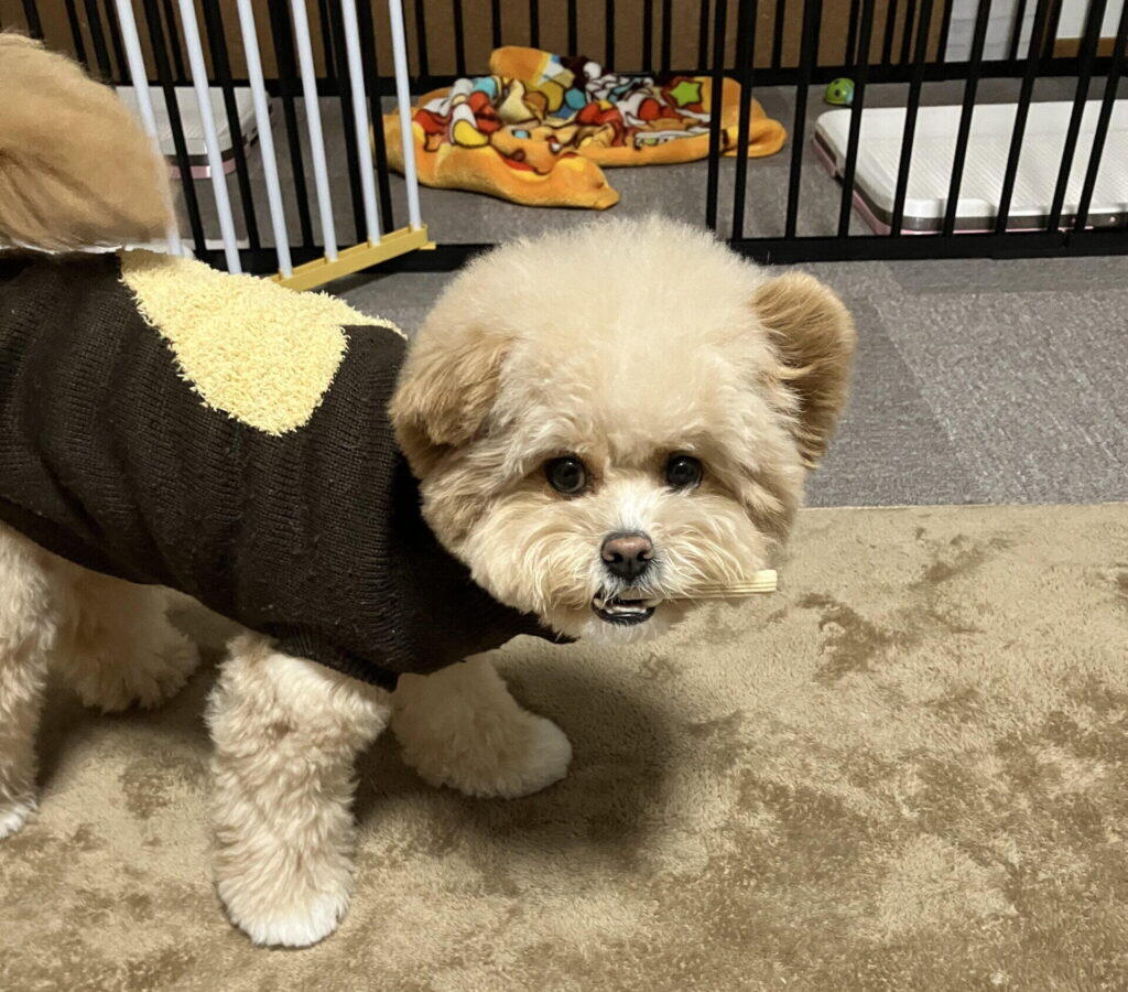 こんな家庭にはこれ 3タイプ仕分けで選ぶ