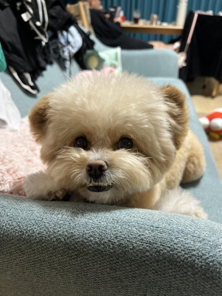 便秘を繰り返さないための毎日の工夫