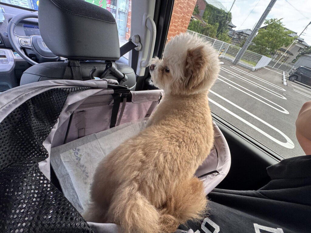 福井や富山から車で行くときの目安