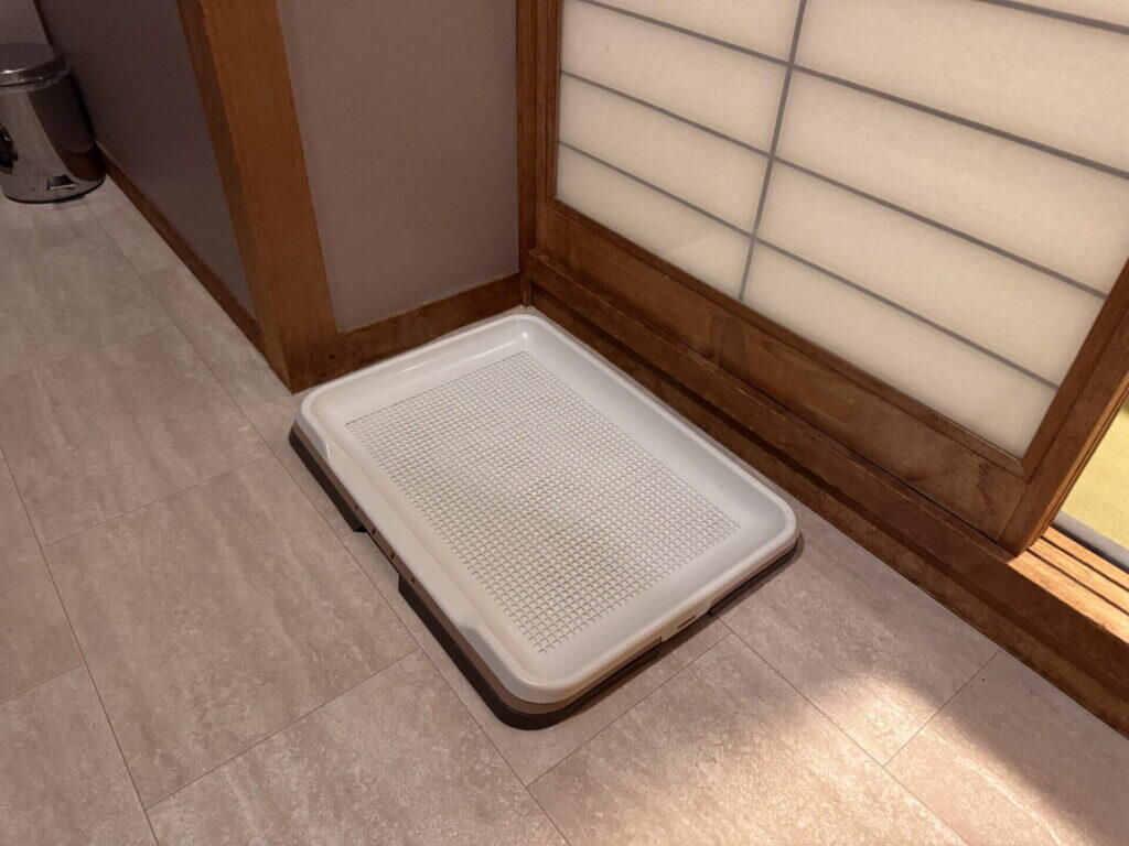 サイズはどう決める？レギュラーとワイドの分かれ目