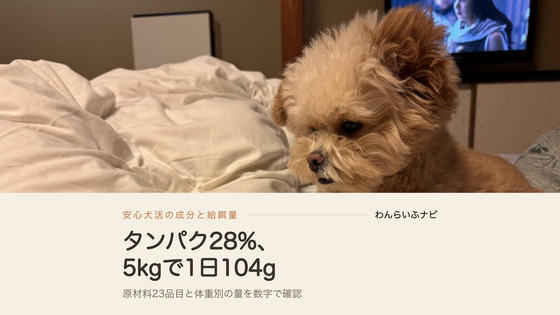 白い布団の上で伏せているポメプーのパフィ。安心犬活の成分と給餌量を扱う記事のアイキャッチ
