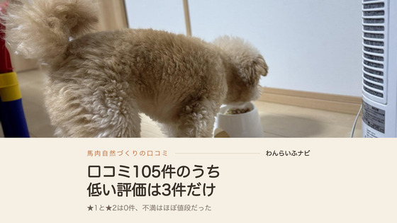 フローリングに置いた背の高い白いフードボウルからドライフードを食べているポメプー