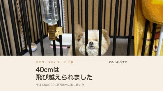 犬のサークルとケージおすすめ10選！高さ40cmで脱走されて選び直した比較