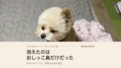犬の消臭スプレーのおすすめを比較して、効く臭いと効かない臭いが分かった