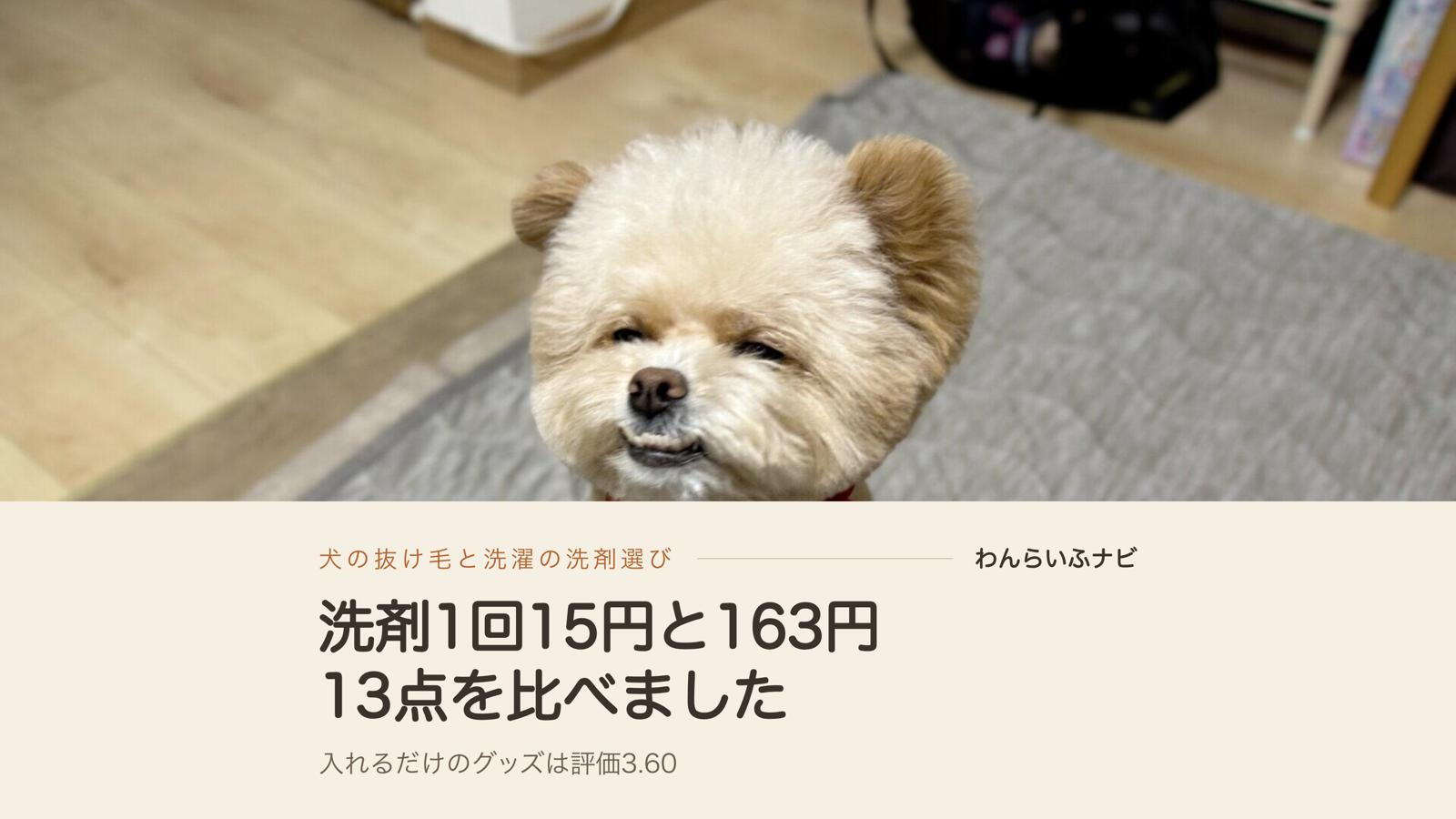 犬の抜け毛と洗濯、リモサボンを含む13点を比べた結果