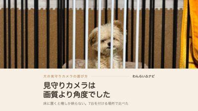 犬の見守りカメラは画質より角度！？サークルの中が映らない床置きの落とし穴と7台