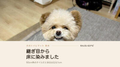 犬のトイレマットは防水で選ぶ？継ぎ目から床に染みた我が家の話
