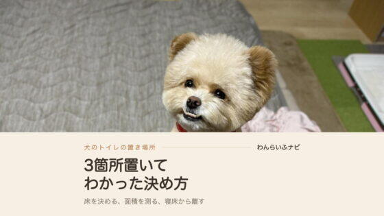 犬のトイレの置き場所で失敗しない決め方、3箇所置いてわかったこと