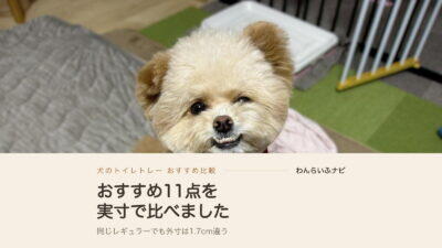 犬のトイレトレーおすすめ11点を実寸で比較してわかった選び方