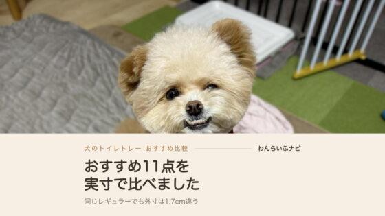 犬のトイレトレーおすすめ11点を実寸で比較してわかった選び方