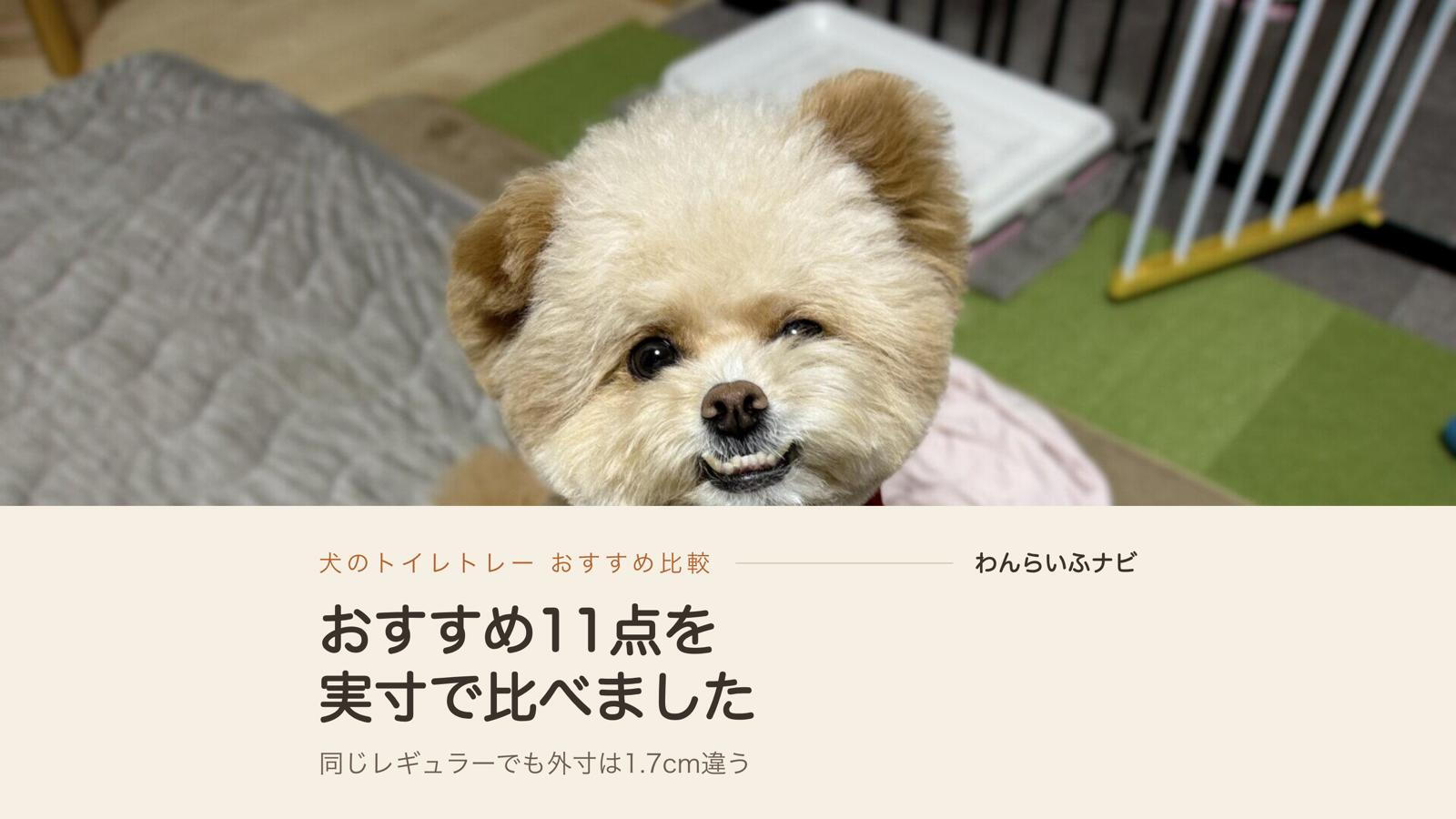 犬のトイレトレーおすすめ11点を実寸で比較してわかった選び方