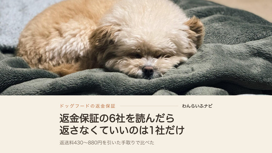 毛布の上で丸くなって眠るポメプーのパフィ。ごはんを前にしても食べずに寝てしまう偏食の様子