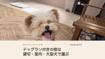 福井で犬と泊まれる宿のドッグラン付きを飼い主が貸切・室内・大型犬で比較