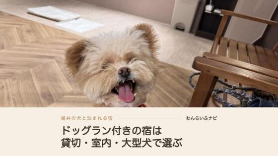 福井で犬と泊まれる宿のドッグラン付きを飼い主が貸切・室内・大型犬で比較