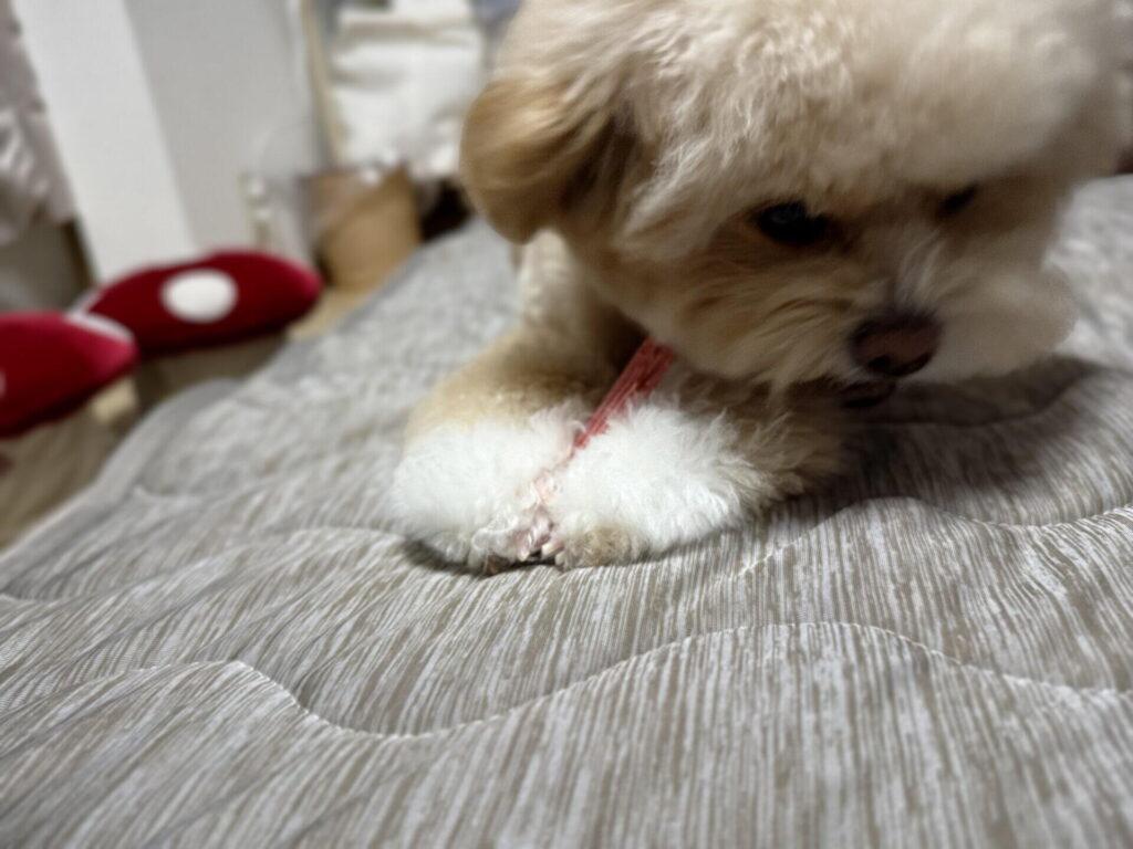 指間炎でやらないほうがいいこと