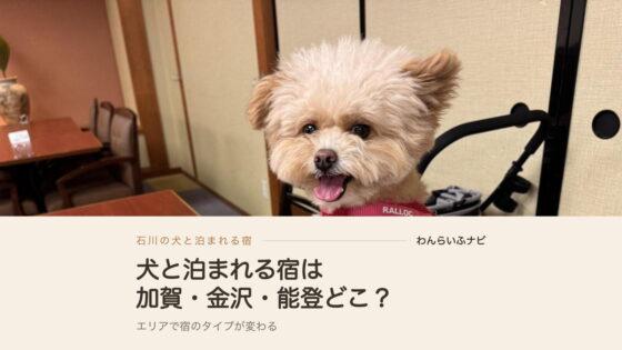 犬と泊まれる宿！石川の10宿を加賀・金沢・能登から飼い主が紹介