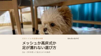 犬のトイレで足が濡れない条件は？メッシュと高床式を2年半比べた