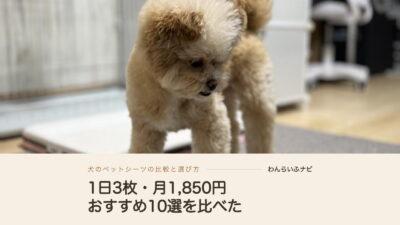 犬のペットシーツおすすめ10選！1日3枚使う飼い主の比較と選び方