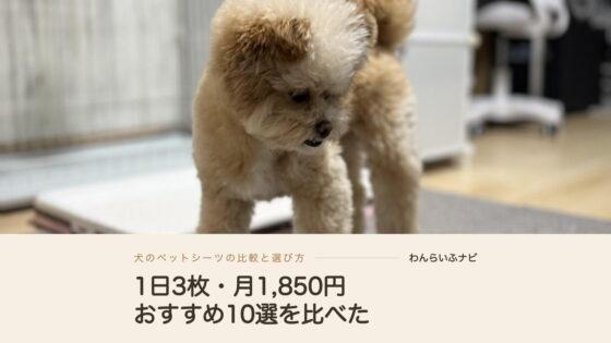 犬のペットシーツおすすめ10選！1日3枚使う飼い主の比較と選び方