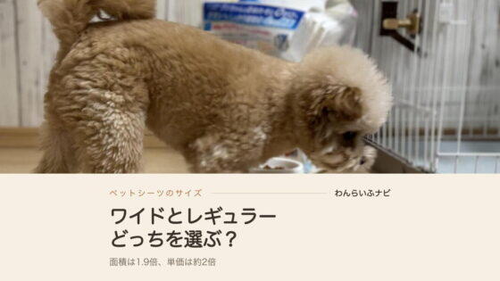 ペットシーツはワイドとレギュラーどっち？5kgの小型犬で2年使った結論