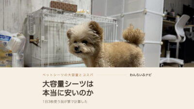 犬のペットシーツを大容量で買うと本当に安い？1枚単価の落とし穴