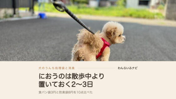 犬のうんち処理袋おすすめ10選！消臭は捨てるまでの時間で選ぶ