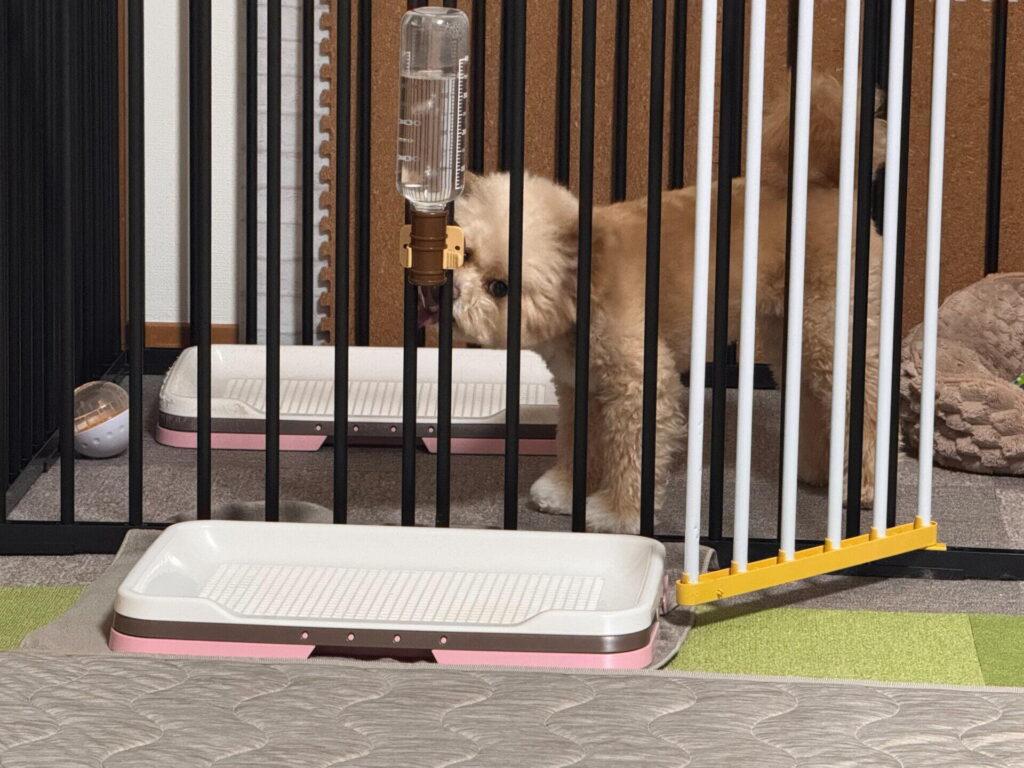 犬のトイレマットは、守りたい場所で3つに分かれます