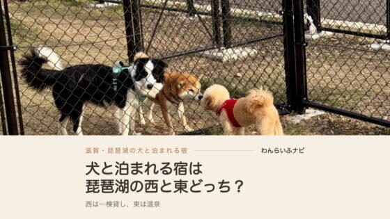 犬と泊まれる宿！滋賀は琵琶湖の西と東どっち？一棟貸しと温泉で比較