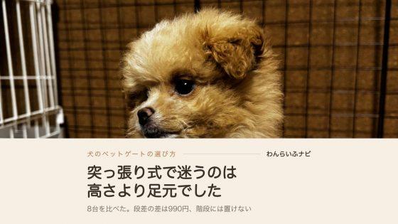黒いメッシュの連結パネルを背にして座る子犬のころのポメプー（パフィ）。左奥に白いケージが見える