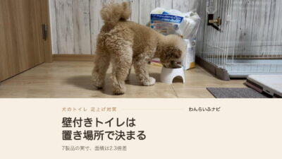 犬のトイレ壁付きで足上げ対策！7製品の実寸を測って選び直した