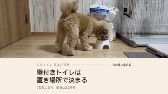 犬のトイレ壁付きで足上げ対策！7製品の実寸を測って選び直した