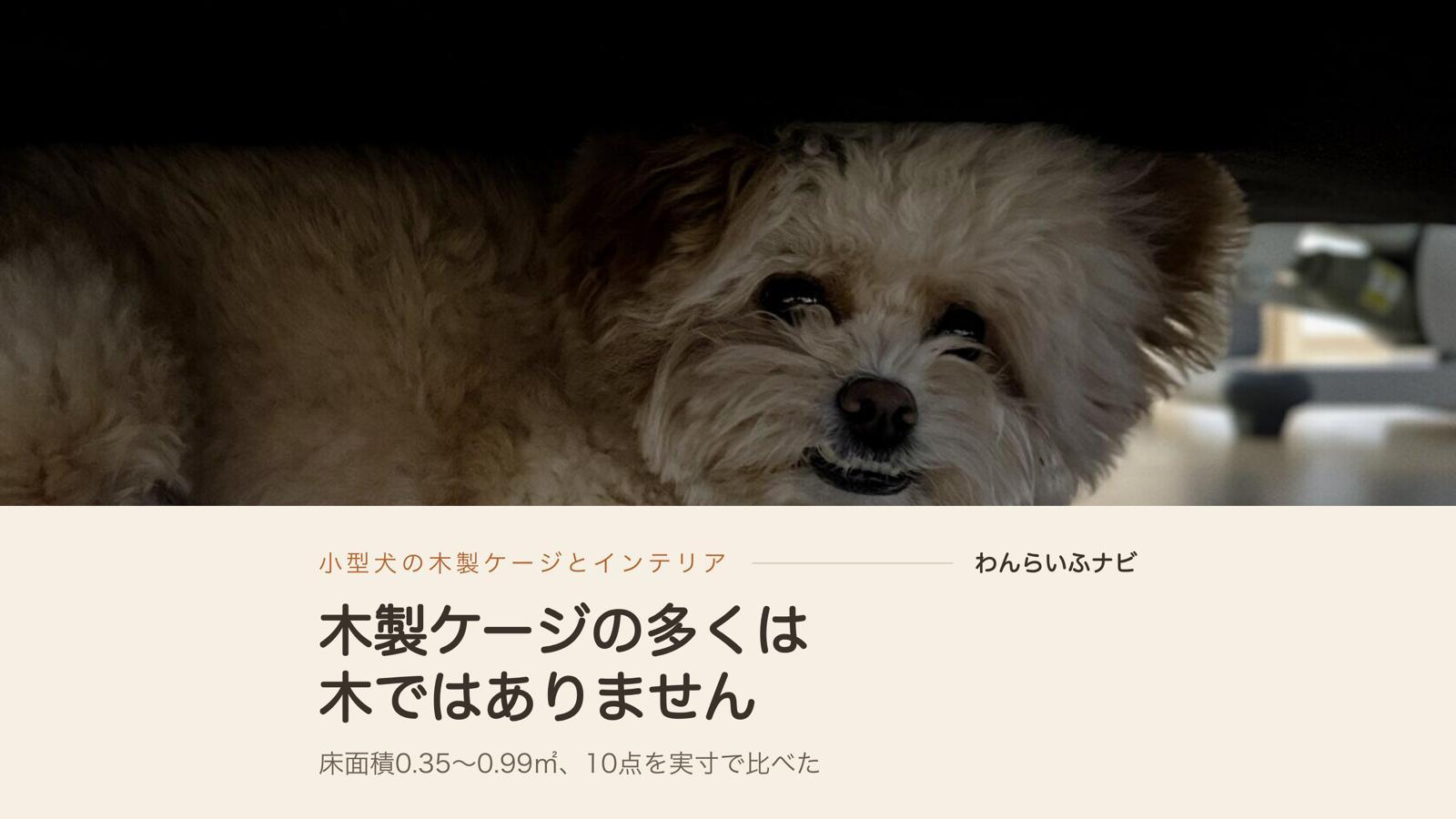 ソファの下の狭い暗がりに寝そべって、こちらを見ているポメプーのパフィ