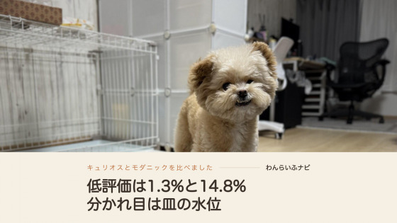 白いワイヤーサークルとトイレトレーのそばに立つポメプーのパフィ
