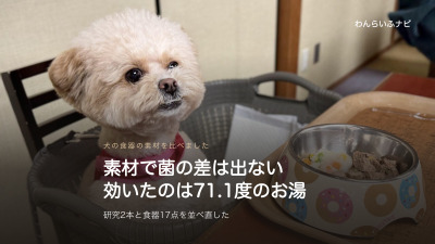 椅子に座ったポメプーと、テーブルに置かれたステンレスの内皿にドーナツ柄の樹脂の外装が付いた食器