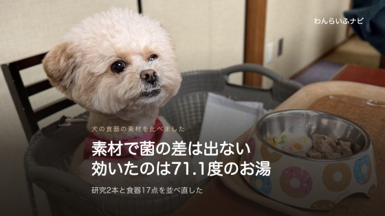 椅子に座ったポメプーと、テーブルに置かれたステンレスの内皿にドーナツ柄の樹脂の外装が付いた食器