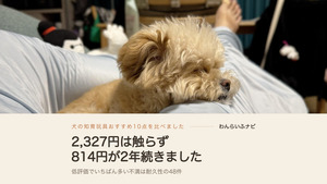 飼い主の脚に顎をのせて眠る子犬のころのポメプー、パフィ