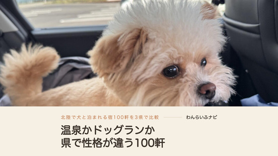後部座席のキャリーに立って車内を見回すポメプーのパフィ。北陸で犬と泊まれる宿100軒を石川・福井・富山の3県で比べた記事のアイキャッチ