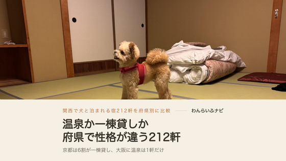 犬と泊まれる宿の和室で、赤いハーネスを着けたポメプーのパフィが畳の上に立っている写真。関西で犬と泊まれる宿212軒を府県別に比較した記事のアイキャッチ