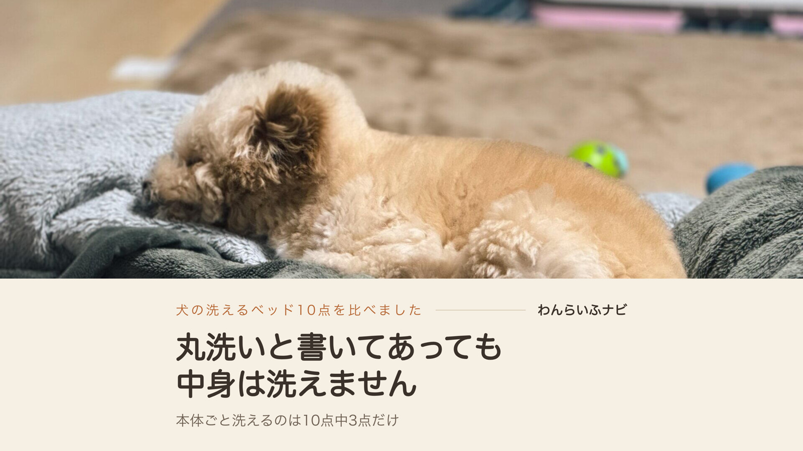 グレーとグリーンの毛布を重ねた上で目を閉じて眠るポメプーのパフィ