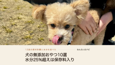 犬の無添加おやつおすすめ10選！水分25%を超えた袋は保存料入りだった